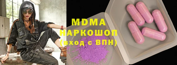 гашик Алексин