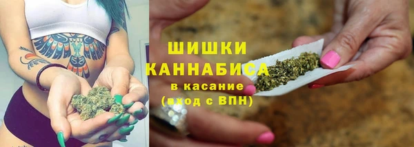 ПСИЛОЦИБИНОВЫЕ ГРИБЫ Алзамай