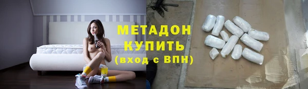 гашик Алексин