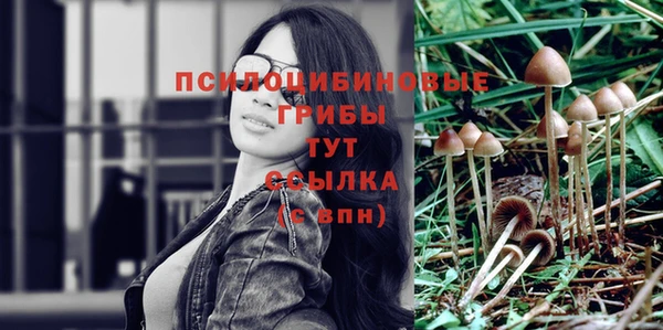 ПСИЛОЦИБИНОВЫЕ ГРИБЫ Алзамай
