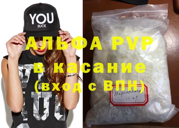 гашик Алексин