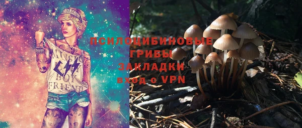 гашик Алексин