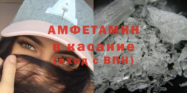 гашик Алексин
