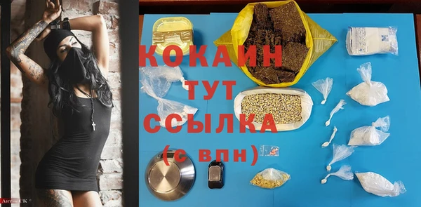 гашик Алексин
