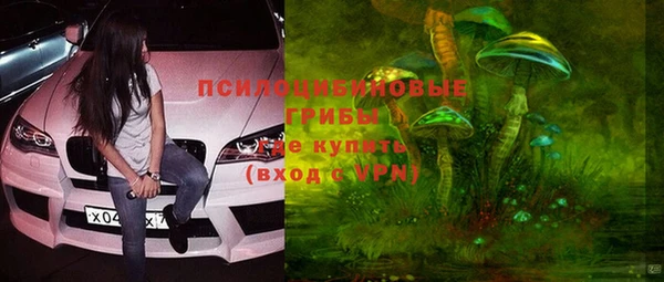 гашик Алексин