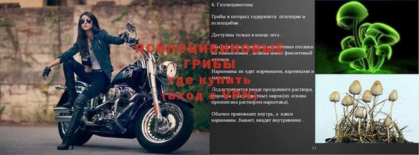 ПСИЛОЦИБИНОВЫЕ ГРИБЫ Алзамай