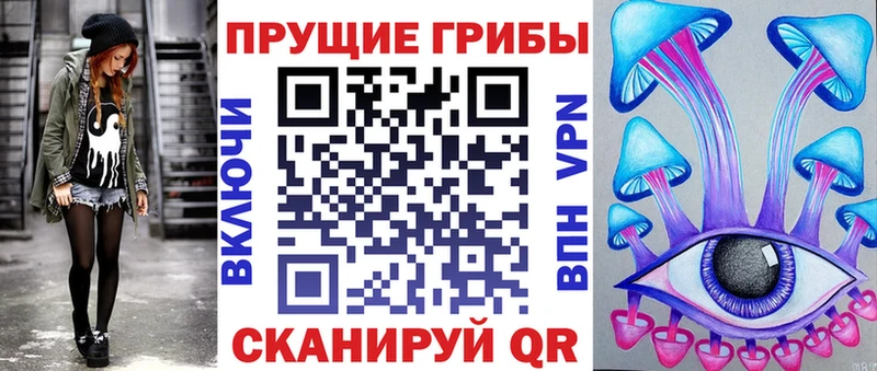 Псилоцибиновые грибы GOLDEN TEACHER  купить наркоту  МЕГА зеркало  Магадан 