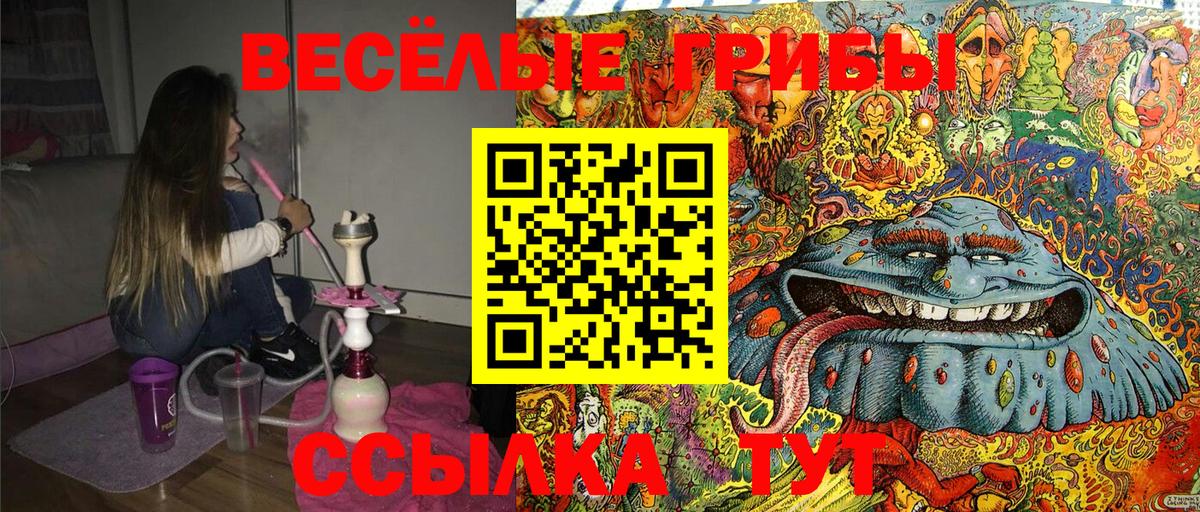 Псилоцибиновые грибы мицелий Магадан